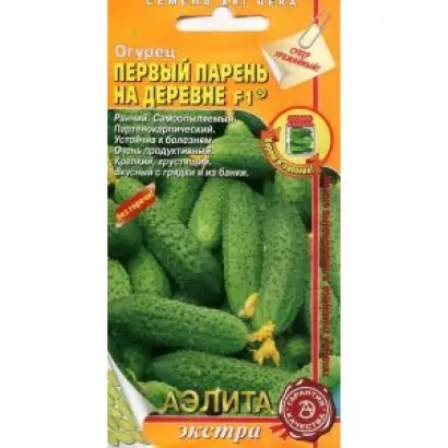 ПЕРВЫЙ ПАРЕНЬ