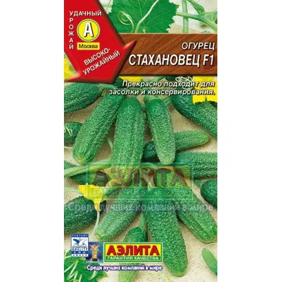 СТАХАНОВЕЦ