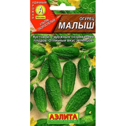 МАЛЫШ