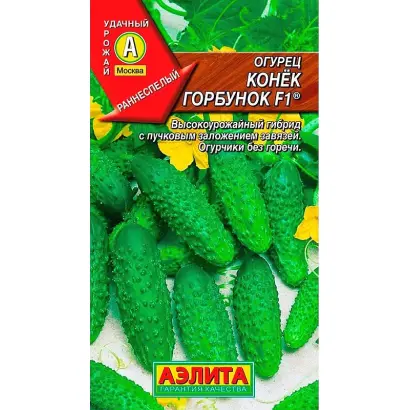 КОНЕК-ГОРБУНОК