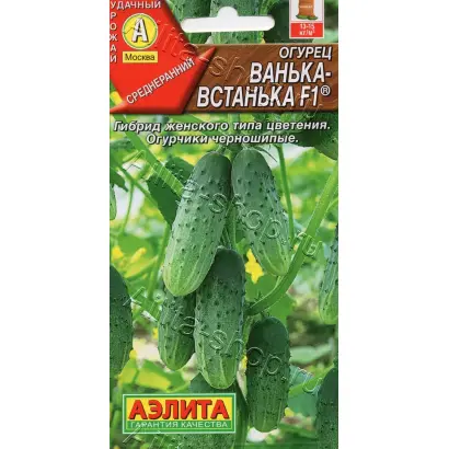 ВАНЬКА-ВСТАНЬКА