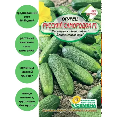 РУССКИЙ САМОРОДОК