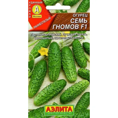 СЕМЬ ГНОМОВ