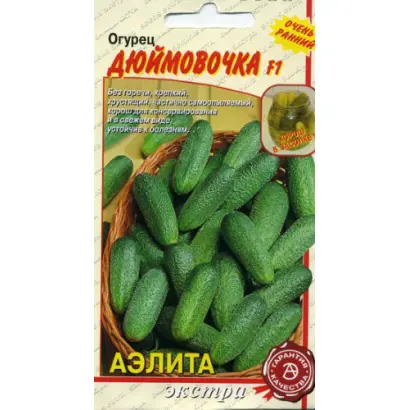 ДЮЙМОВОЧКА