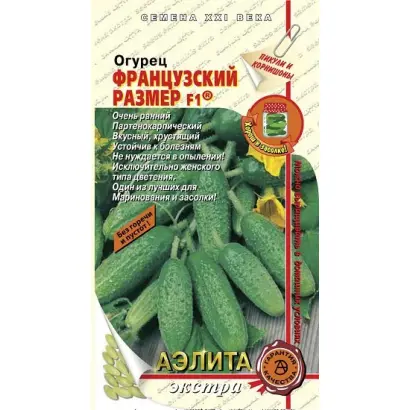 ФРАНЦУЗСКИЙ РАЗМЕР