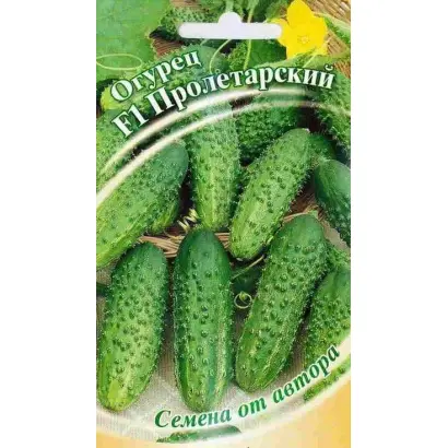 ПРОЛЕТАРСКИЙ