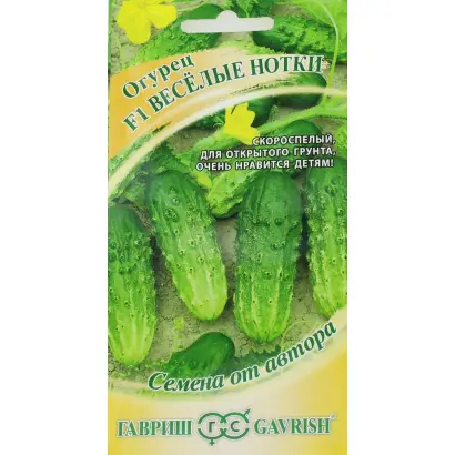 ВЕСЕЛЫЕ НОТКИ