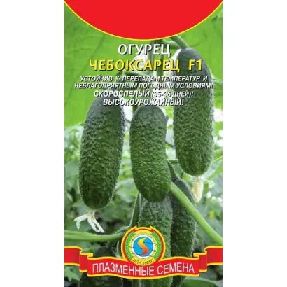 ЧЕБОКСАРЕЦ