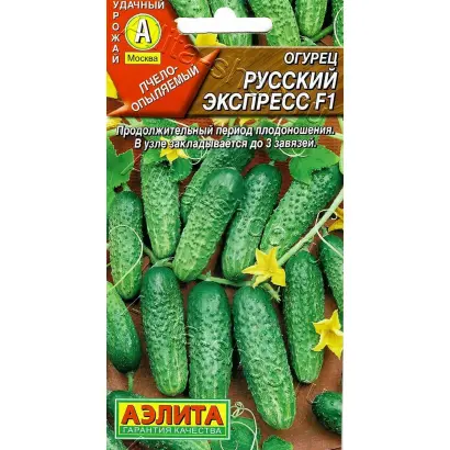 РУССКИЙ ЭКСПРЕСС