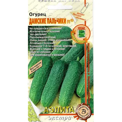 ДАМСКИЕ ПАЛЬЧИКИ