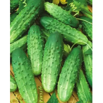 ЖУРАВЛЕНОК