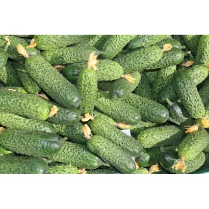 ЛУХОВИЦКИЙ