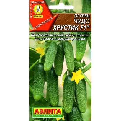 ЧУДО ХРУСТИК