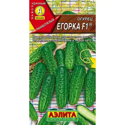 ЕГОРКА