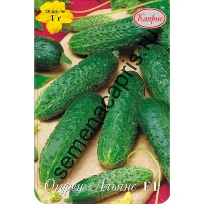 АЛЬЯНС БЕЙО 2640