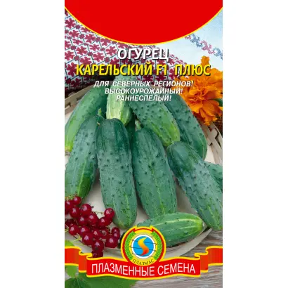 КАРЕЛЬСКИЙ ПЛЮС