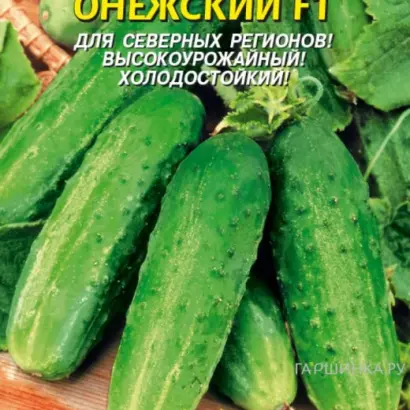ОНЕЖСКИЙ