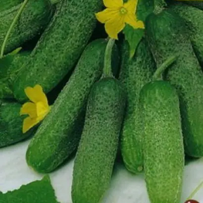 ПОСТРЕЛЕНОК