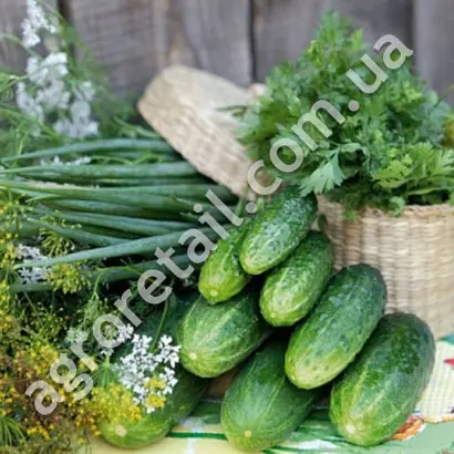 МАДМУАЗЕЛЬ