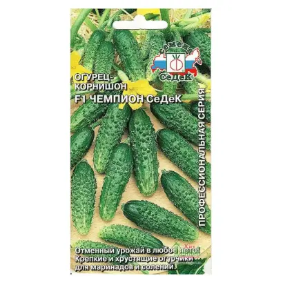 ЧЕМПИОН СЕДЕК