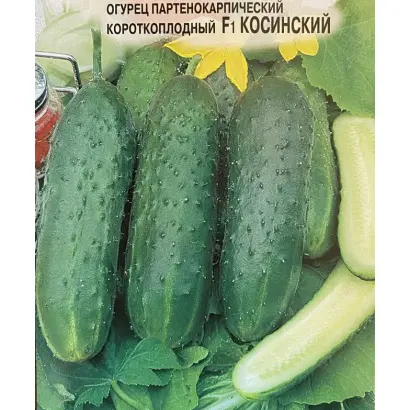 КОСИНСКИЙ