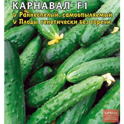 КАРНАВАЛ