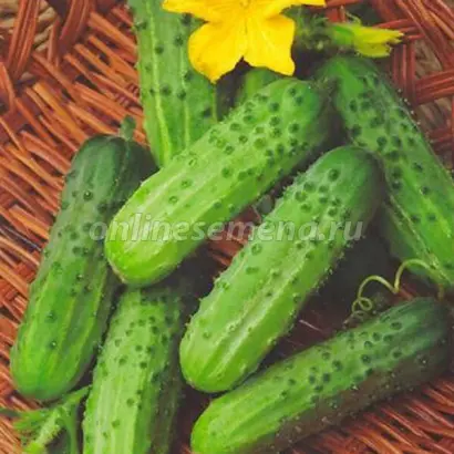 ПРЕСТОЛЬНЫЙ