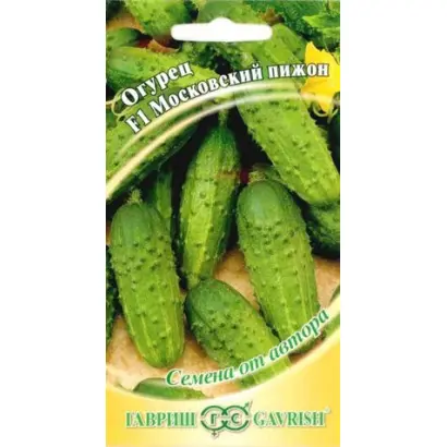 МОСКОВСКИЙ ПИЖОН