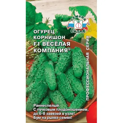 ВЕСЕЛАЯ КОМПАНИЯ