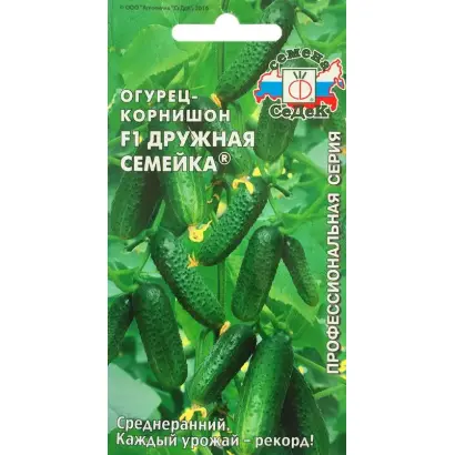 ДРУЖНАЯ СЕМЕЙКА