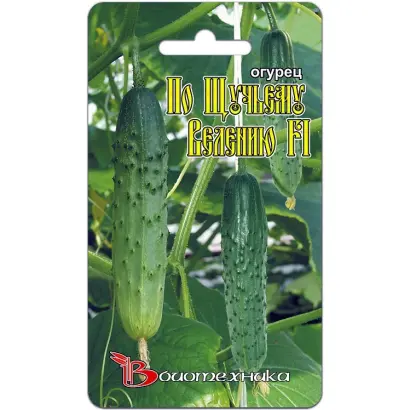 ПО ЩУЧЬЕМУ ВЕЛЕНИЮ