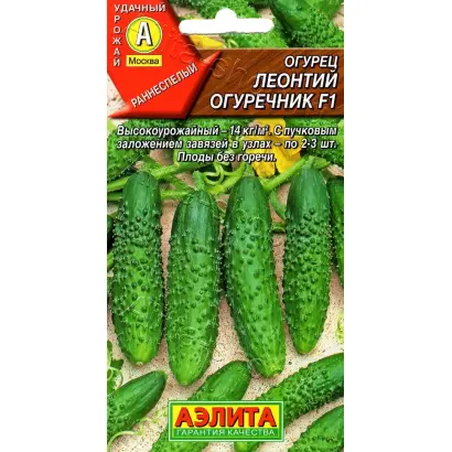 ЛЕОНТИЙ ОГУРЕЧНИК