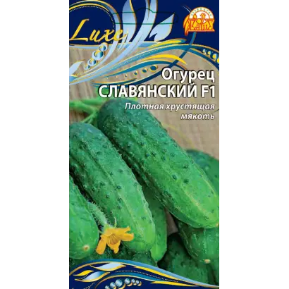 СЛАВЯНСКИЙ