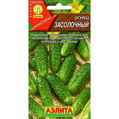 ЗАСОЛОЧНЫЙ