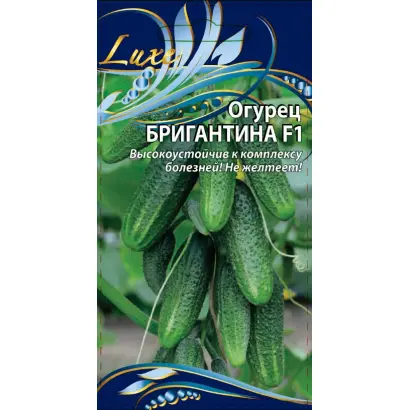 БРИГАНТИНА