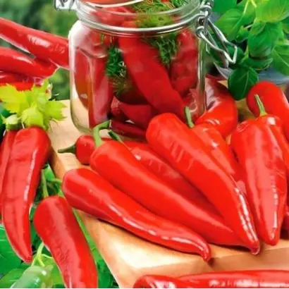 АСТРАХАНСКИЙ 147