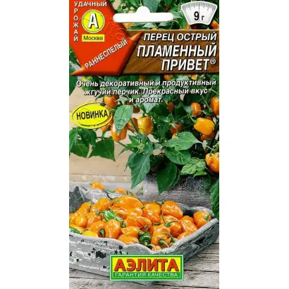 ПЛАМЕННЫЙ ПРИВЕТ