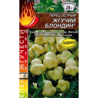 ЖГУЧИЙ БЛОНДИН