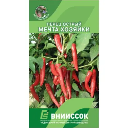 МЕЧТА ХОЗЯЙКИ