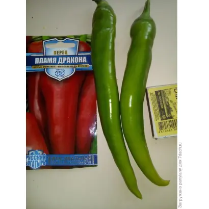 ПЛАМЯ ДРАКОНА