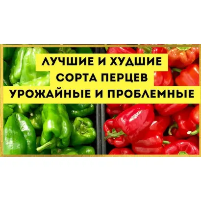 ШАЛЬНАЯ ИМПЕРАТРИЦА