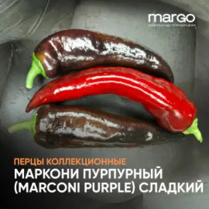 МАКАР