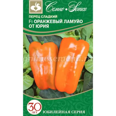 ОРАНЖЕВЫЙ ЛАМУЙОТ ЮРИЯ