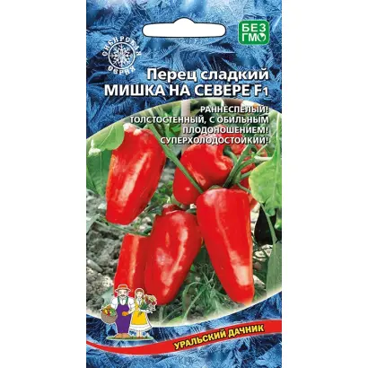 МИШКА НА СЕВЕРЕ