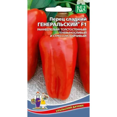 ГЕНЕРАЛЬСКИЙ