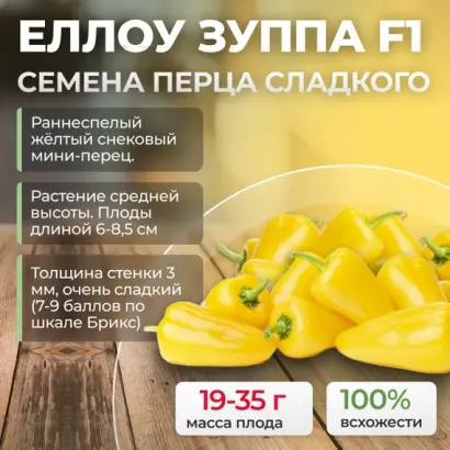 ЕЛЛОУ ЗУППА