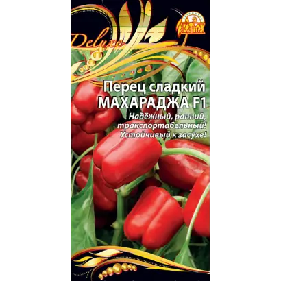 МАХАРАДЖА
