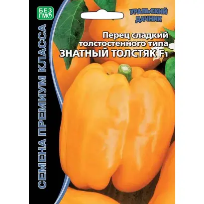 ЗНАТНЫЙ ТОЛСТЯК