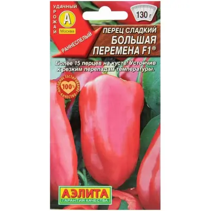 БОЛЬШАЯ ПЕРЕМЕНА