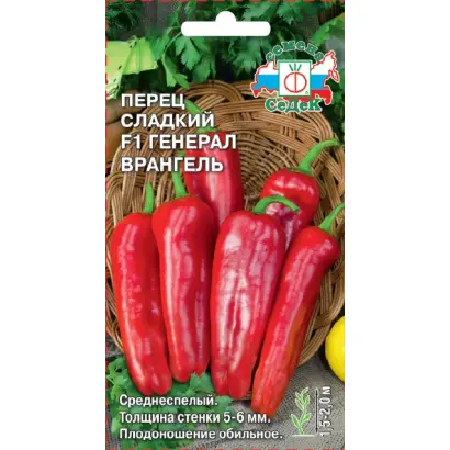 ГЕНЕРАЛ ВРАНГЕЛЬ